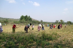 00_Land-clearing-and-fencing_02