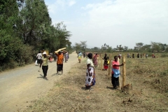 00_Land-clearing-and-fencing_03