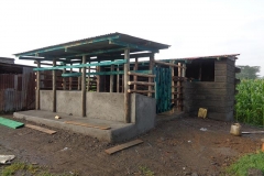 10_cowshed_18-06-2018